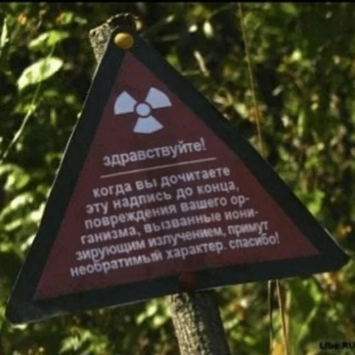 ☢ Стикер «S.T.A.L.K.E.R 2 Сборная Солянка» для Telegram