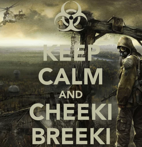 👍 Стикер «S.T.A.L.K.E.R 2 Сборная Солянка» для Telegram
