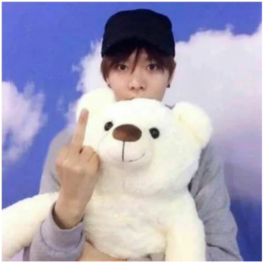 🖕 Стикер «київський arara gomen» для Telegram