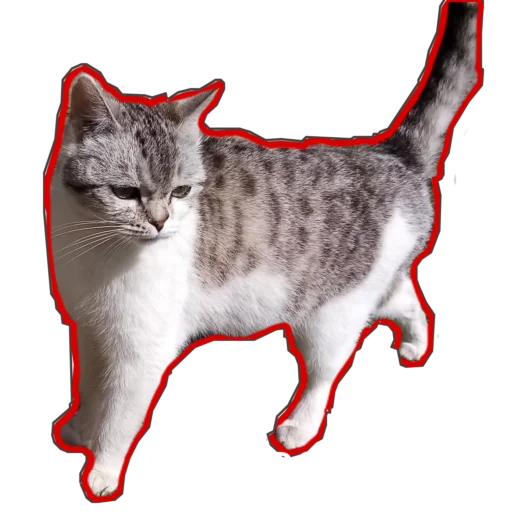 😉 Стикер «Муська myrzik» для Telegram