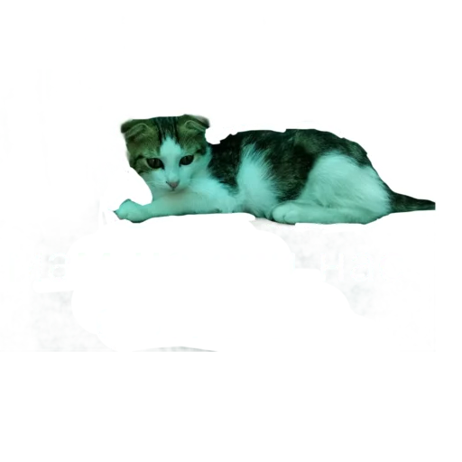 😶 Стикер «Муська myrzik» для Telegram