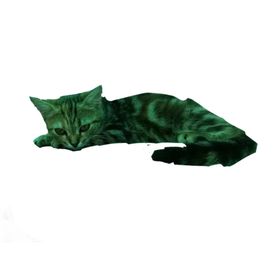 😔 Стикер «Муська myrzik» для Telegram