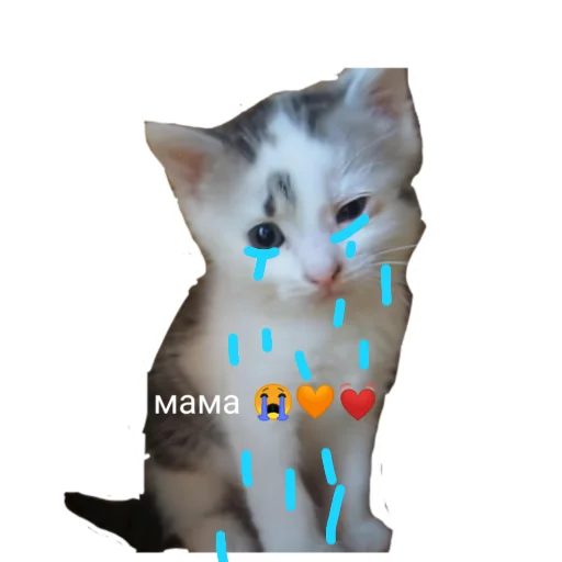 😢 Стикер «Муська myrzik» для Telegram