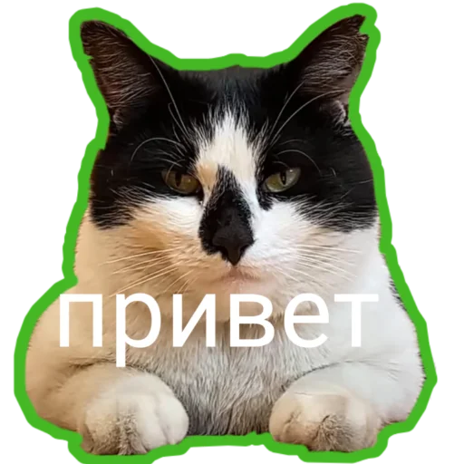 🤚 Стикер «Муська myrzik» для Telegram
