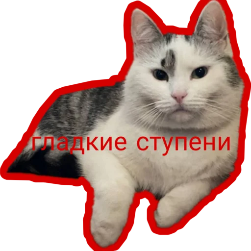 😗 Стикер «Муська myrzik» для Telegram