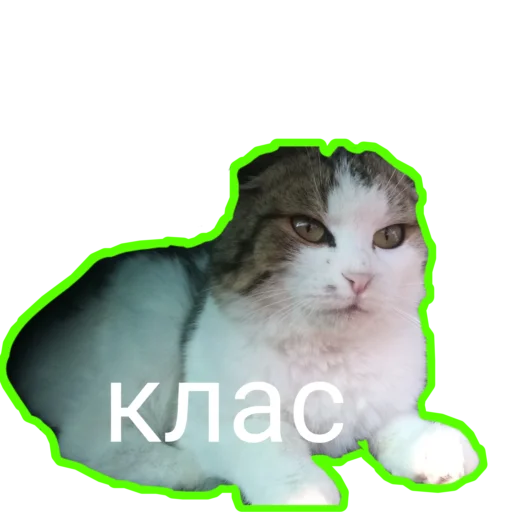😼 Стикер «Муська myrzik» для Telegram