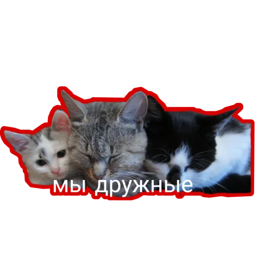 😍 Стикер «Муська myrzik» для Telegram