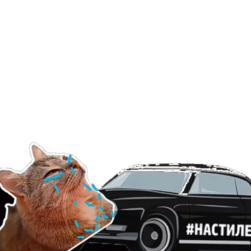 😭 Стикер «Муська myrzik» для Telegram