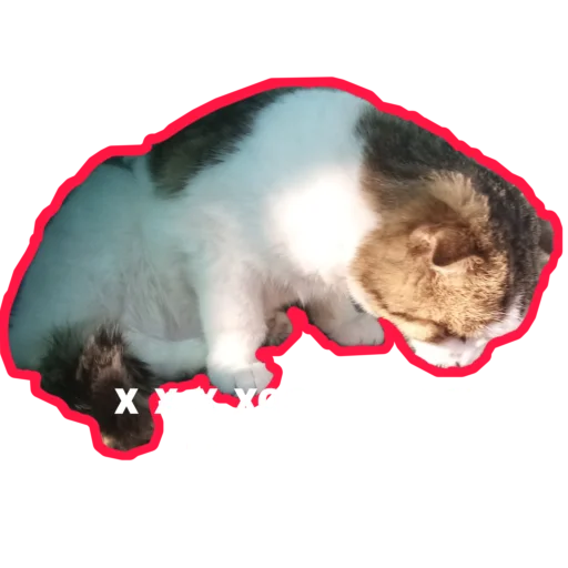 😰 Стикер «Муська myrzik» для Telegram