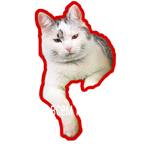 👐 Стикер «Муська myrzik» для Telegram
