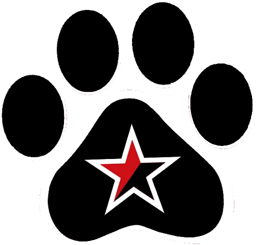 😸 Стикер «Anarquismo en PDF» для Telegram