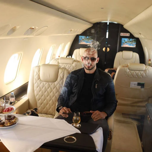 ✈️ Стикер «Andrew Tate» для Telegram