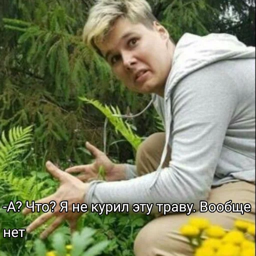 🌿 Стикер «Виндяй ?» для Telegram