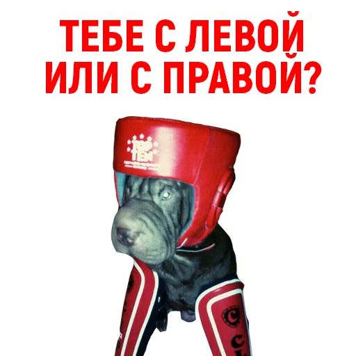🥊 Стикер «Андрюша из ТикТока» для Telegram