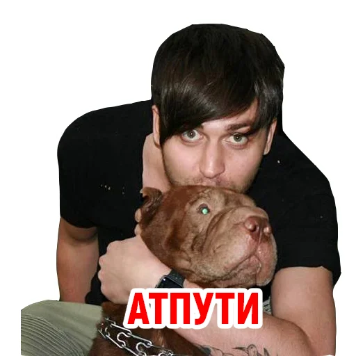 💕 Стикер «Андрюша из ТикТока» для Telegram