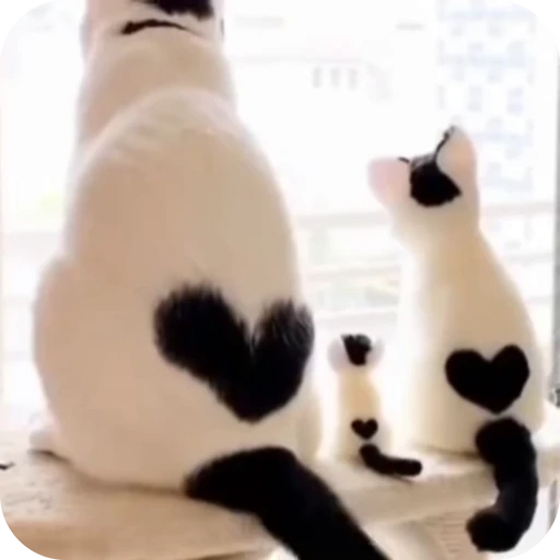 💕 Стикер «Cat Multiverse» для Telegram