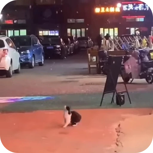 😻 Стикер «Cat Multiverse» для Telegram