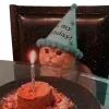 Стикер 21 🥲 Котики