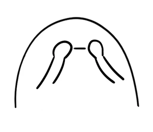 🥚 Стикер «egg» для Telegram