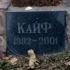 Стикер 33 Angel