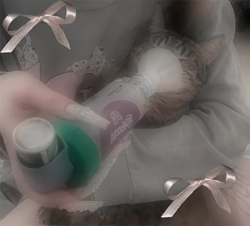 🚬 Стикер «angel of blood spilling» для Telegram