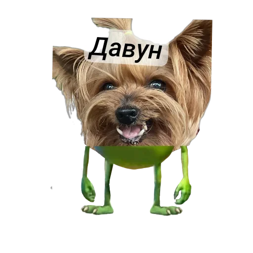 🐶 Стикер «Злой Шелби» для Telegram