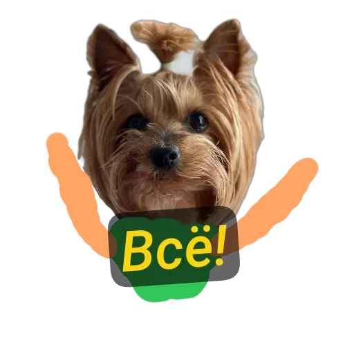 🐶 Стикер «Злой Шелби» для Telegram