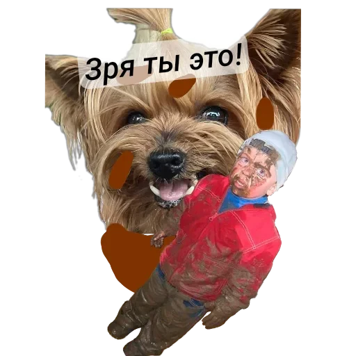 🐶 Стикер «Злой Шелби» для Telegram