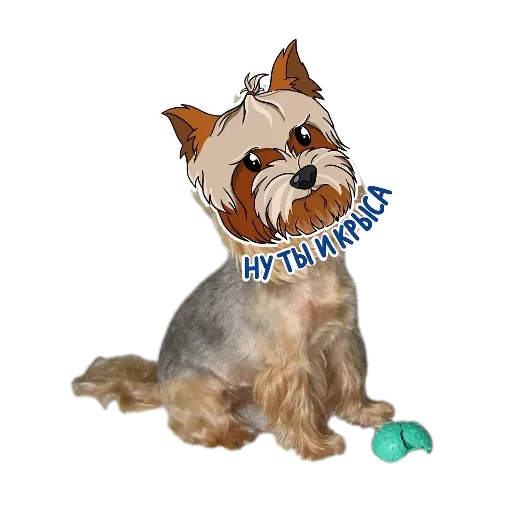 🐶 Стикер «Злой Шелби» для Telegram