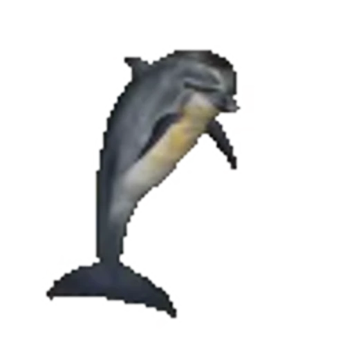 🐬 Эмодзи «random 6» для Telegram