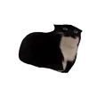 Стикер 12 Random 1