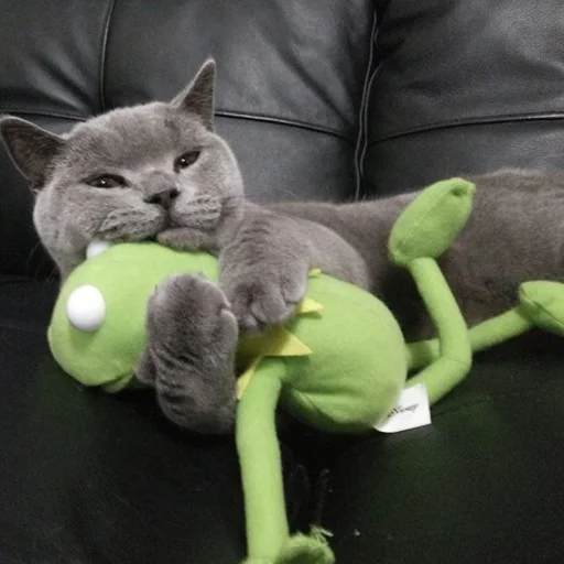 🐈 Стикер «Лягушонок Кермит» для Telegram