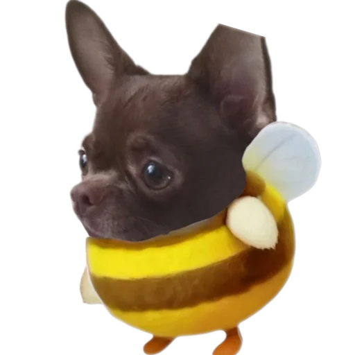 🐶 Стикер «Животные пчелы» для Telegram