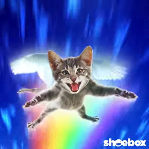 🕊 Стикер «Funimals» для Telegram
