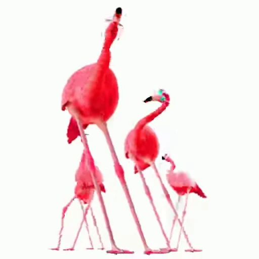 🕺 Стикер «Funimals» для Telegram