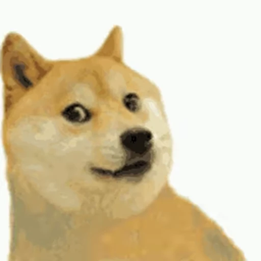 🕺 Стикер «Funimals» для Telegram