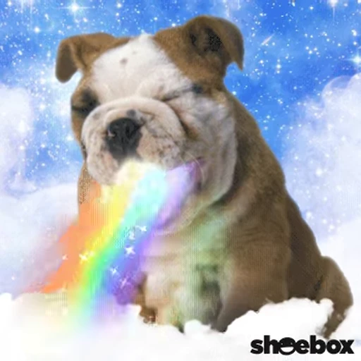 🌈 Стикер «Funimals» для Telegram