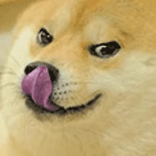 😝 Стикер «Funimals» для Telegram