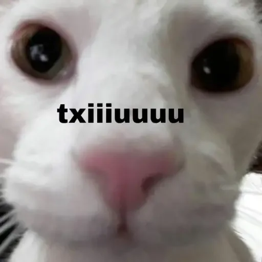😗 Стикер «animales» для Telegram