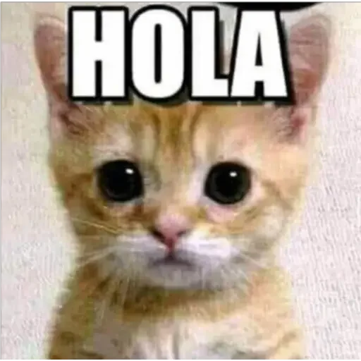 😀 Стикер «animales» для Telegram
