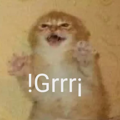 😈 Стикер «animales» для Telegram