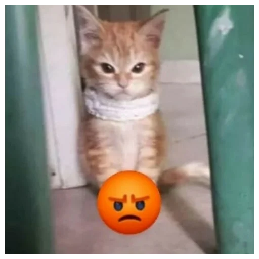😡 Стикер «animales» для Telegram