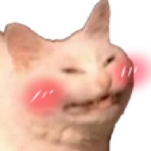 😚 Стикер «animales» для Telegram