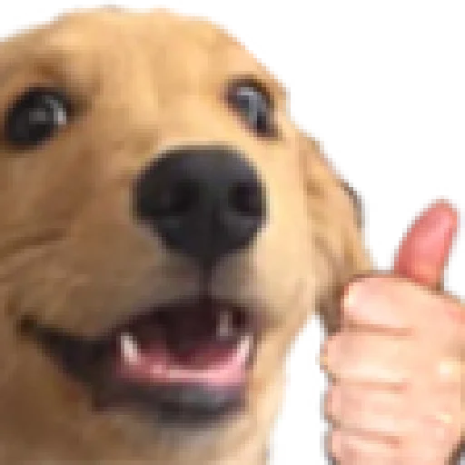 😃 Стикер «animales» для Telegram