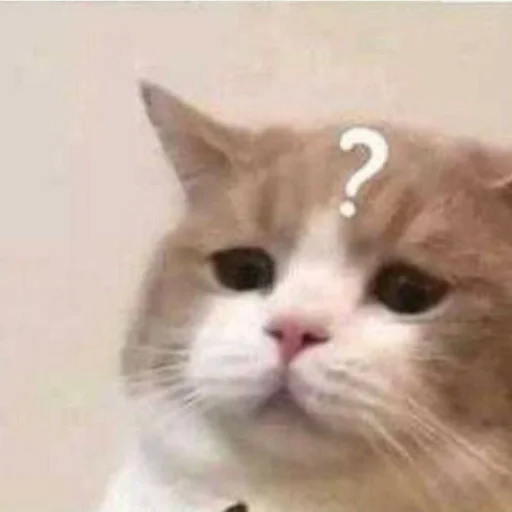 🤨 Стикер «animales» для Telegram