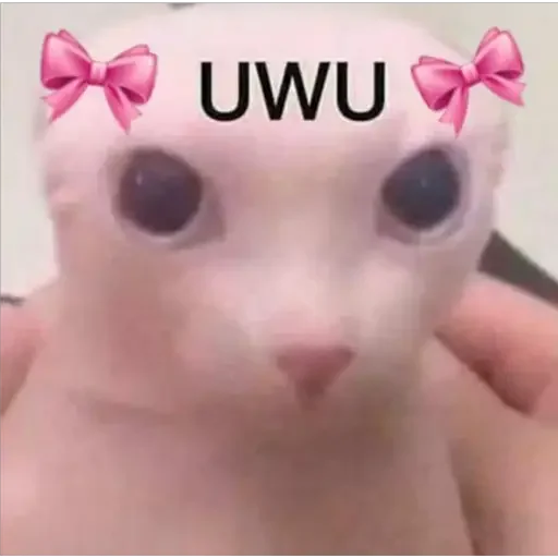 ☺️ Стикер «animales» для Telegram
