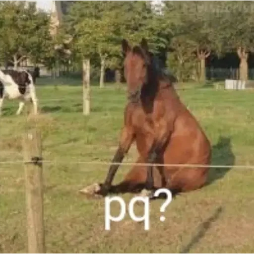 🤨 Стикер «animales» для Telegram
