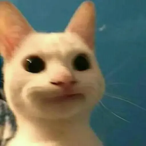 😶 Стикер «animales» для Telegram