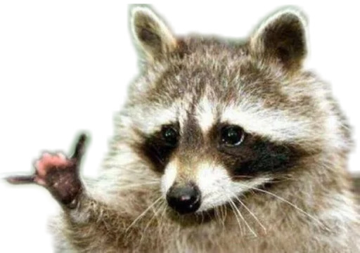 🤙 Стикер «Funny animals» для Telegram