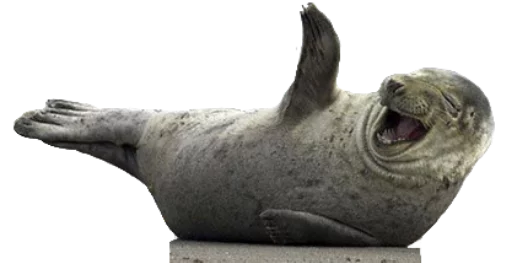 Стикерпак Funny animals для Telegram — скачать